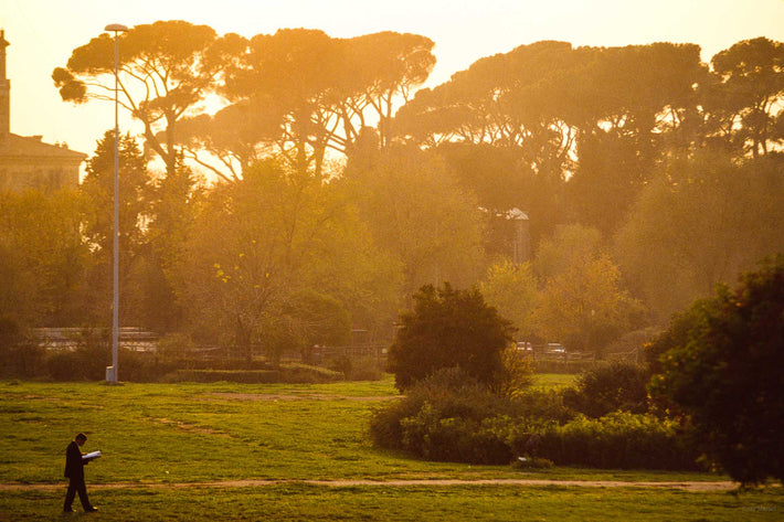 Man Reading in Park, Rome