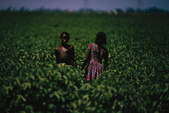 Two Figures in Green Field, Khartoum