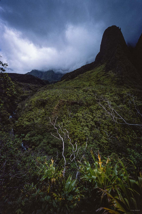 Hawaii Land No 2