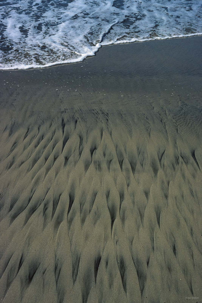 Nature No 3 – Jay Maisel