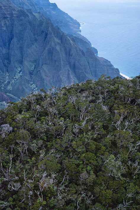 Hawaii Land No 4