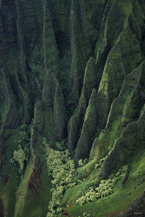 Hawaii Land No 8