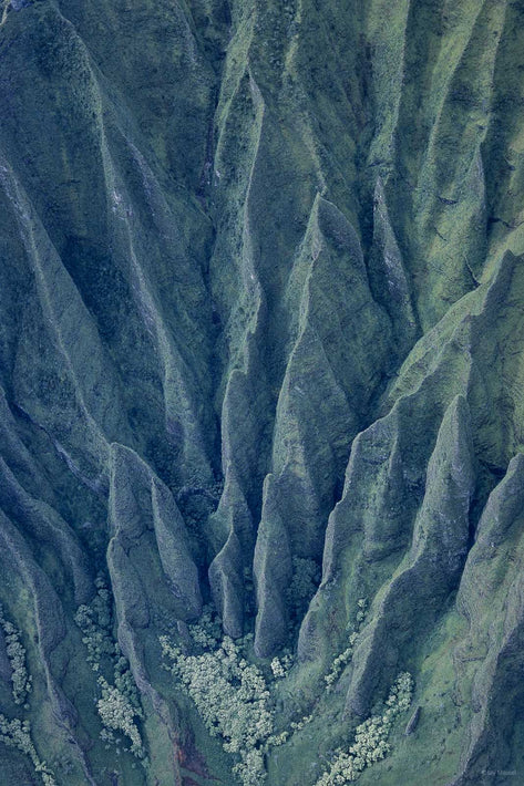 Hawaii Land No 9