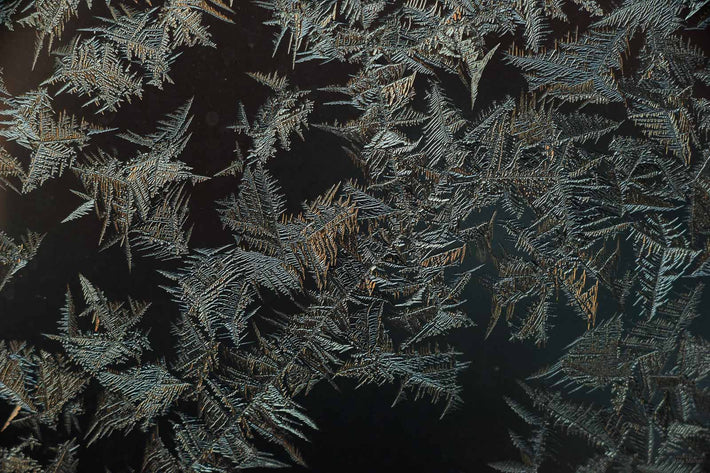 Ice Crystals No 10