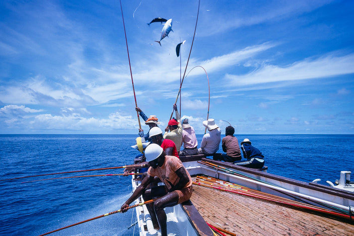 Tuna Fishing, New Guinea 5