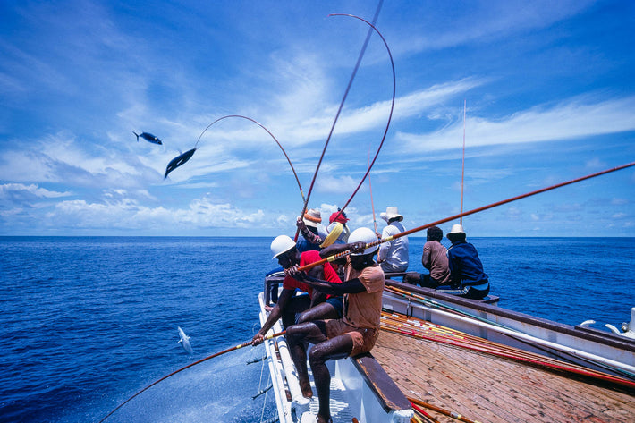 Tuna Fishing, New Guinea 6