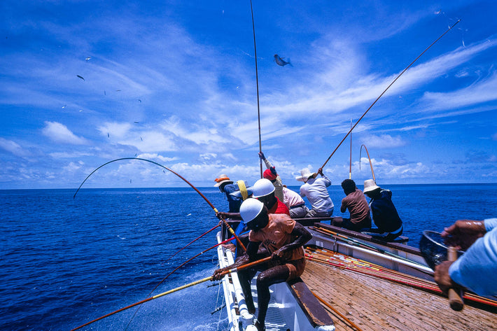 Tuna Fishing, New Guinea 7