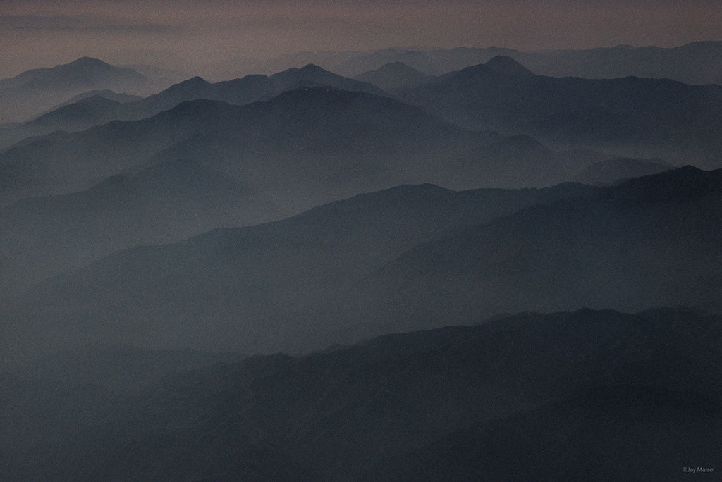 Nature No 17 – Jay Maisel