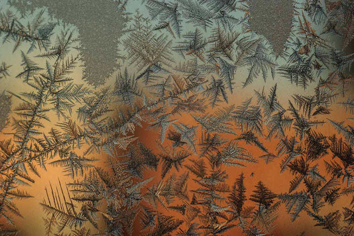 Ice Crystals No 20