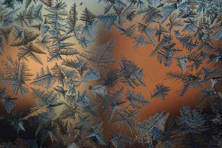 Ice Crystals No 21