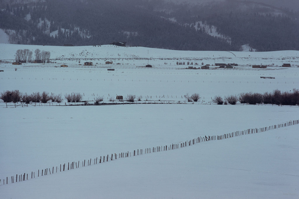 Snow in the Country No 22 – Jay Maisel