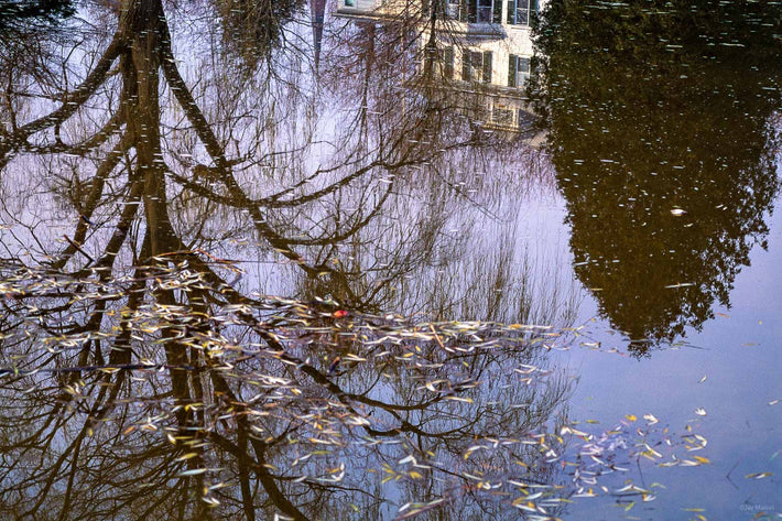 Reflections No 22