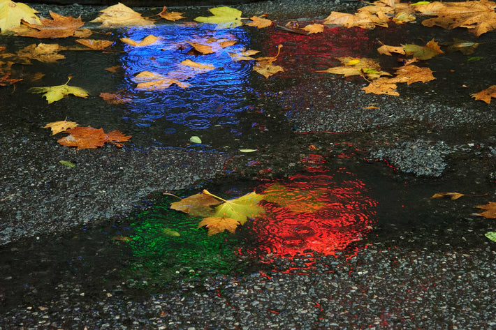 Reflections No 25