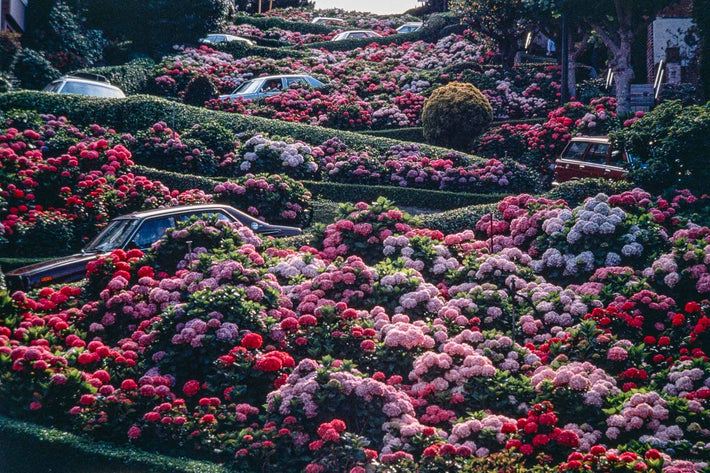 San Francisco Places No 26