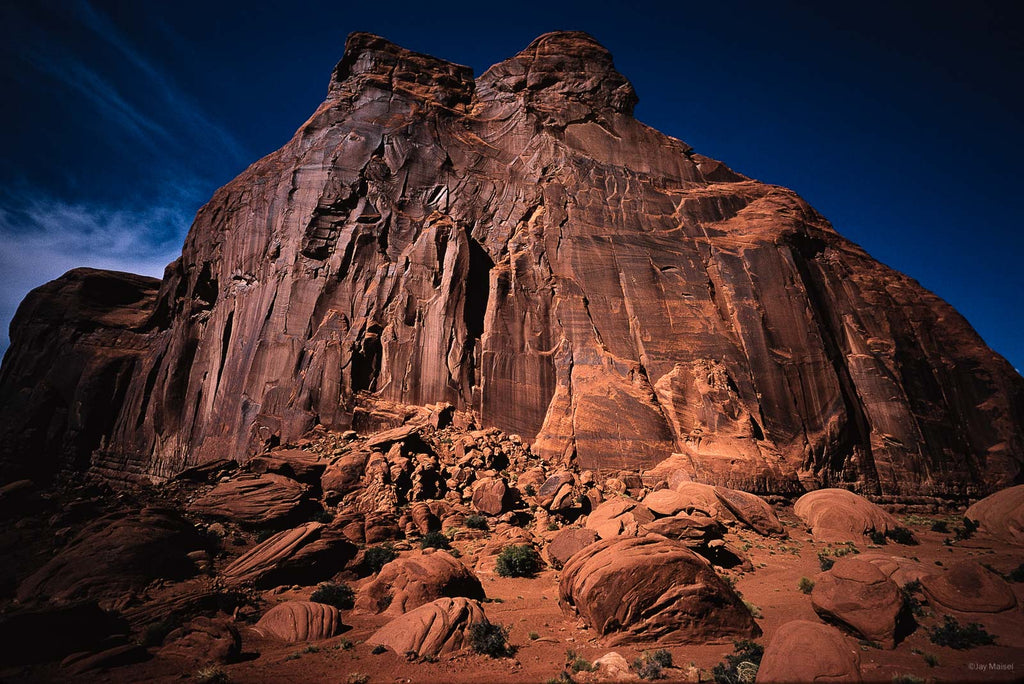 Nature No 27 – Jay Maisel