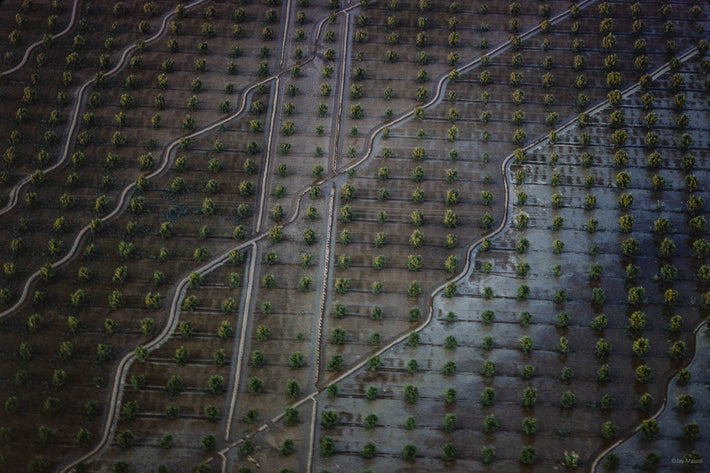 Pears, California 2