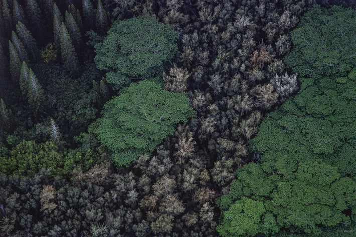 Hawaii Land No 27