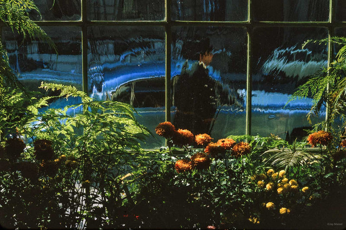 Storefronts No 29