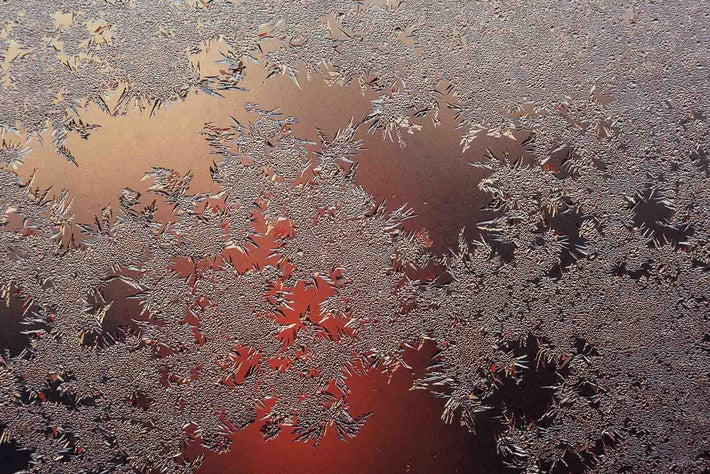 Ice Crystals No 33