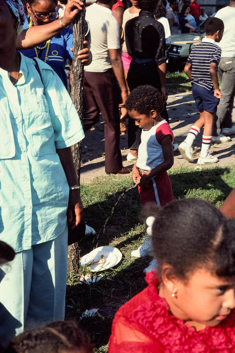 Five Parades No 36 - West Indian American Day