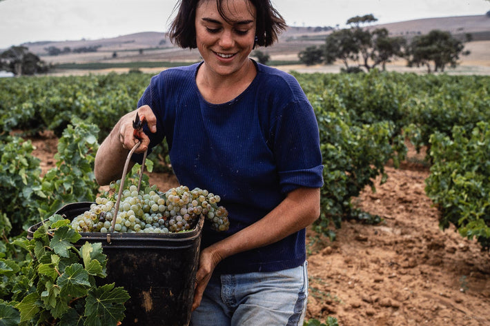 Grapes, Australia 3