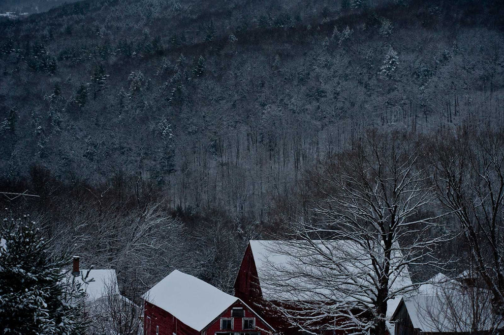 Snow in the Country No 37 – Jay Maisel