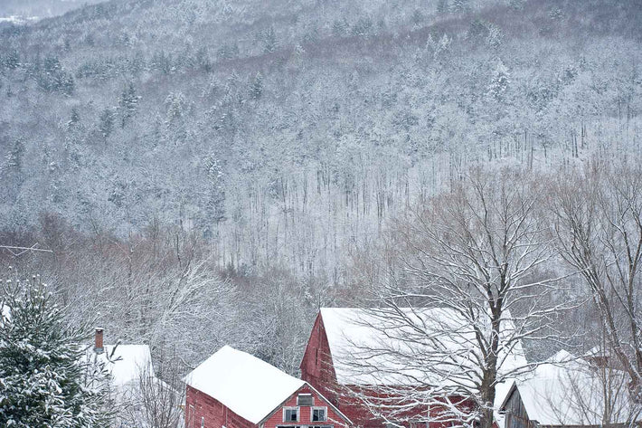 Snow in the Country No 38