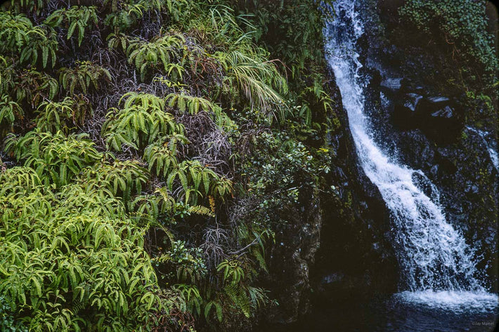 Hawaii Land No 39