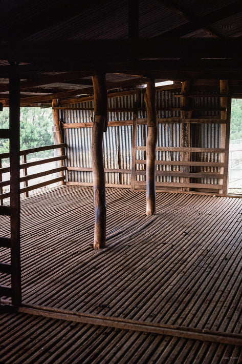 Sheep Shearing Shed, Australia  6