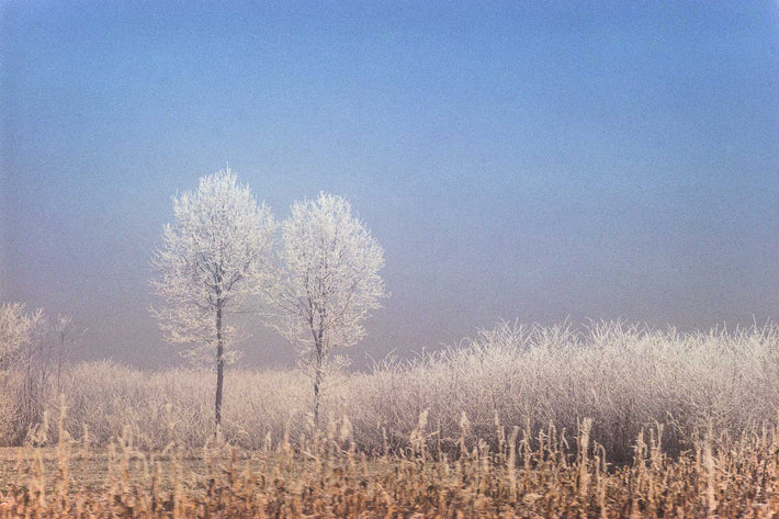 Snow in the Country No 46