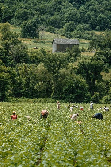 Migrant Workers NY No 46
