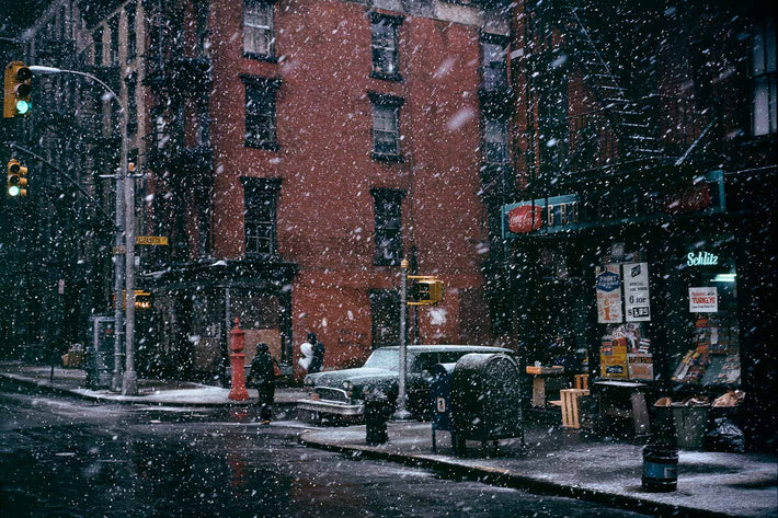 Neighborhood No 49