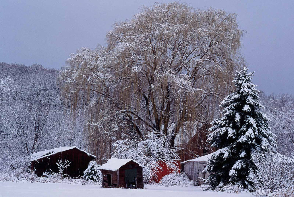 Snow in the Country No 53 – Jay Maisel