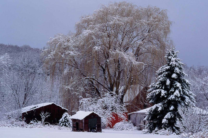 Snow in the Country No 53