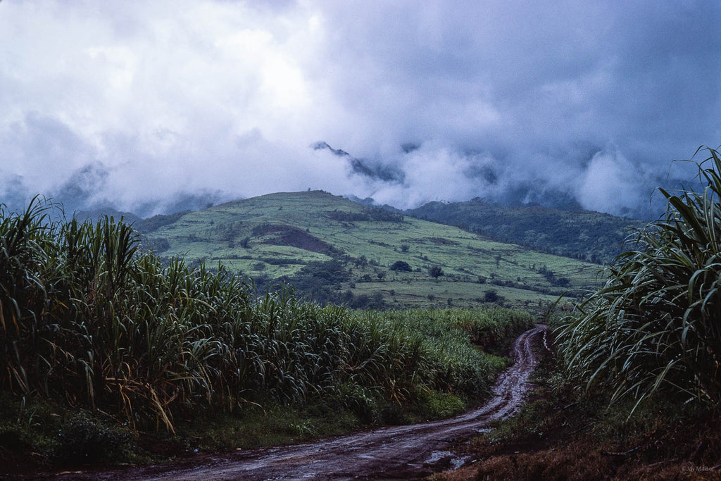 Hawaii Land No 59 – Jay Maisel