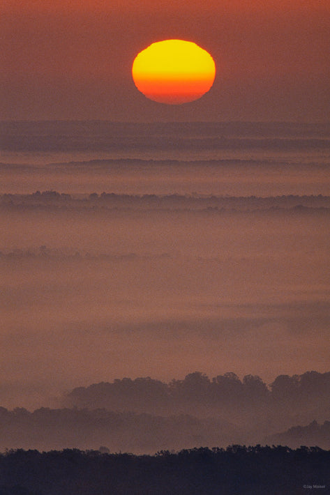 Sun No 7