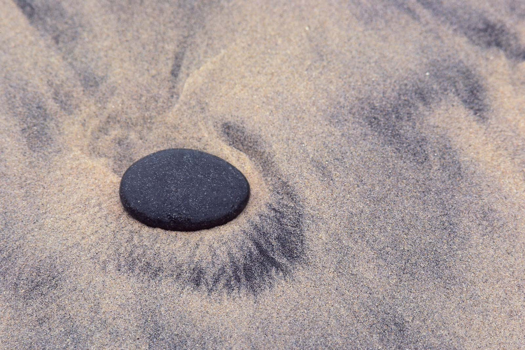 Nature No 62 – Jay Maisel
