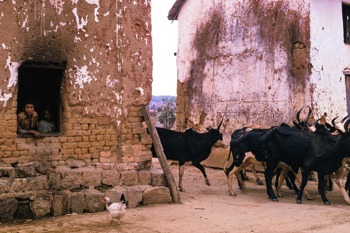 Buildings Foreign No 63, Madagascar