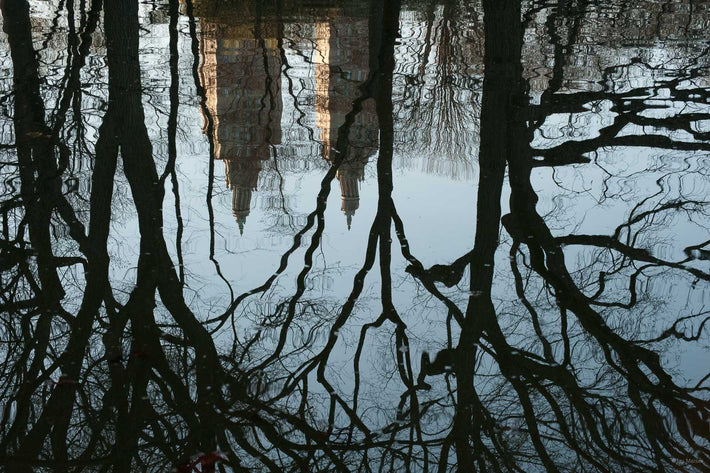 Reflections No 67
