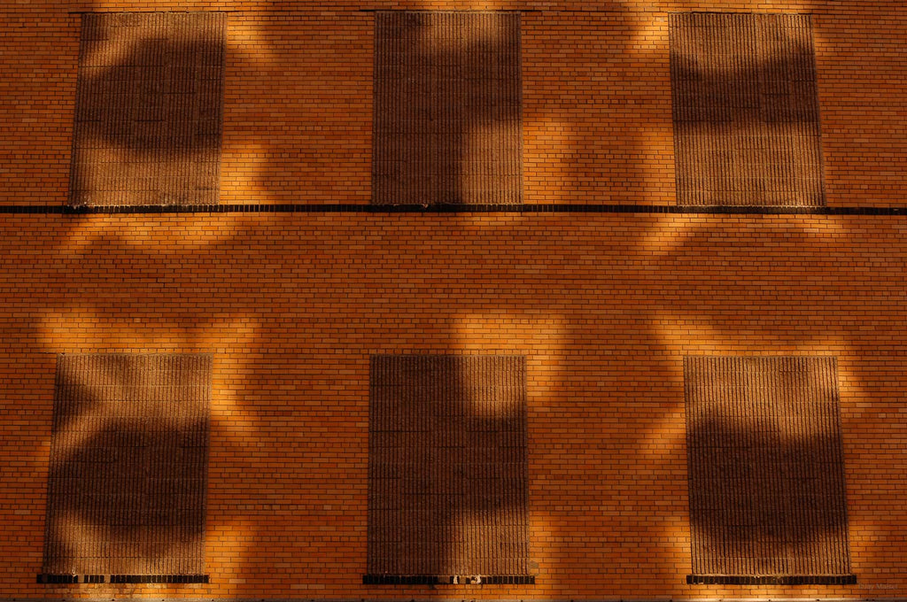 Windows No 68 – Jay Maisel