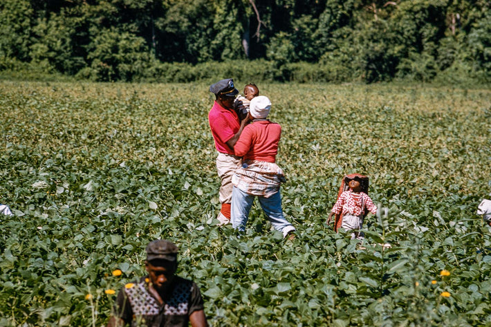Migrant Workers NY No 69