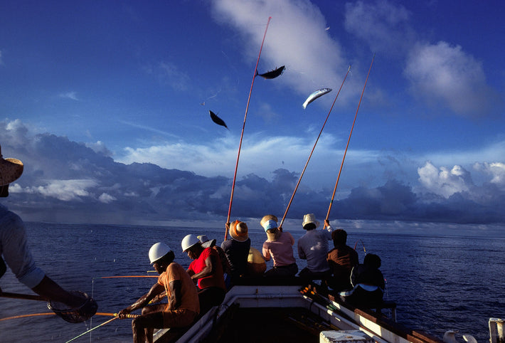 Workers No 70 New Guinea