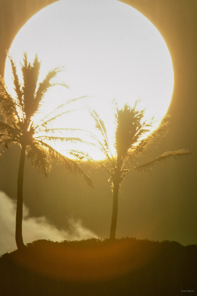 Hawaii Land No 75 – Jay Maisel