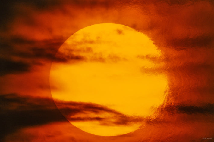 Sun No 24