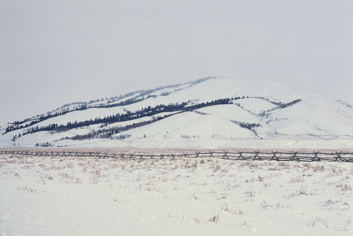 Snow in the Country No 80