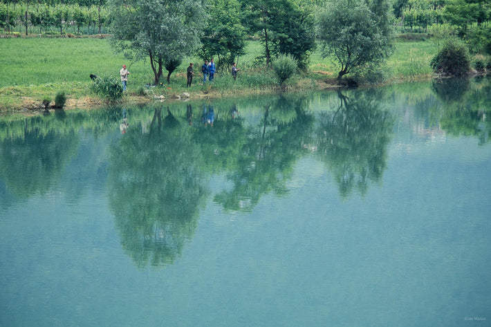 Reflections No 83