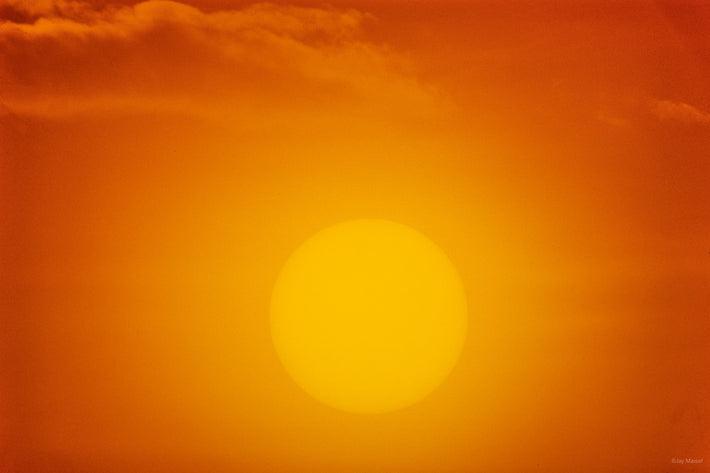 Sun No 29