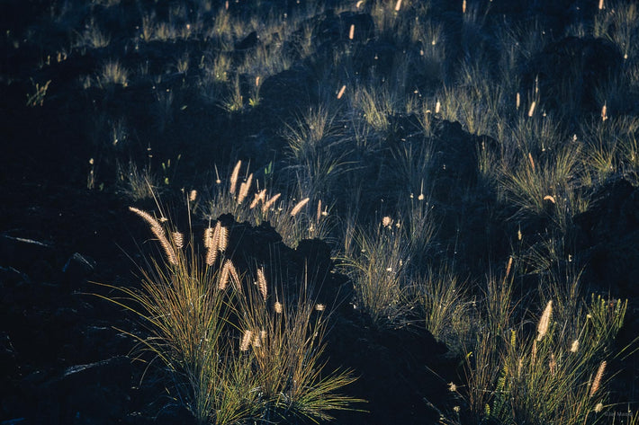 Hawaii Land No 83