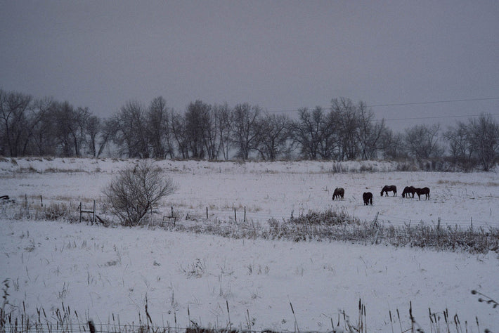 Snow in the Country No 86