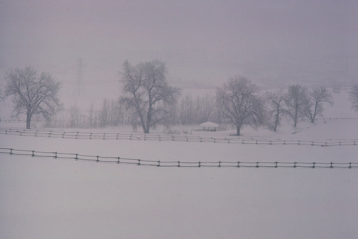 Snow in the Country No 89